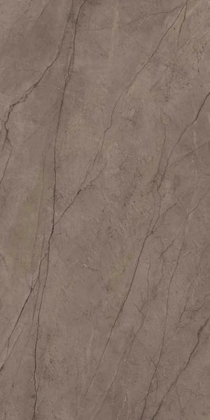 NEBULA_BROWN_RGB_NEW-OCT-2024_LOW